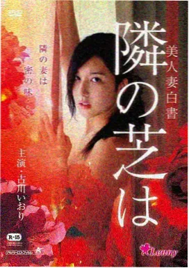 雾隐之城电影封面